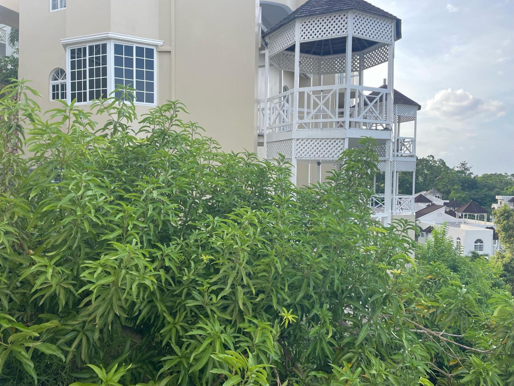Oceanbreeze Jamaica Penthouse, 7-Minute Walk To Beach Ocho Rios Kültér fotó