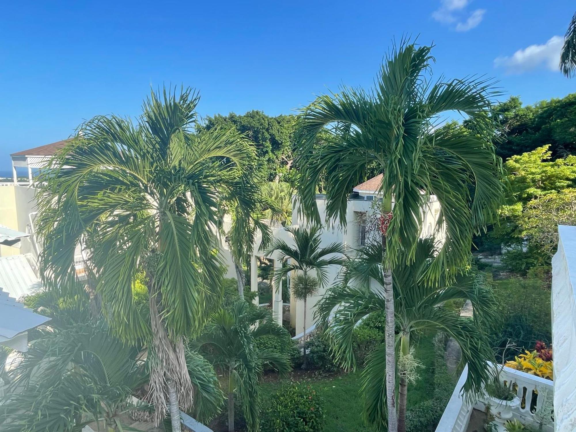 Oceanbreeze Jamaica Penthouse, 7-Minute Walk To Beach Ocho Rios Kültér fotó